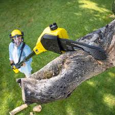 Best Utility Line Clearance  in San Anselmo, CA